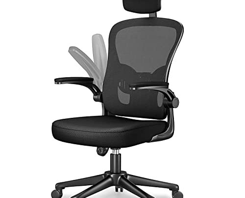 naspaluro Office Chair with Lumbar Support, High Back Ergonomic Home Desk Chair with Adjustable Arms and Headrest, Thick Seat Cushion…