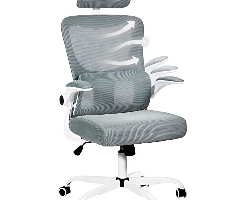 DualThunder Ergonomic Office Chair Lumbar Support, Home Office Desk Chairs with Wheels and Flip up Arms, High Back Mesh Office…