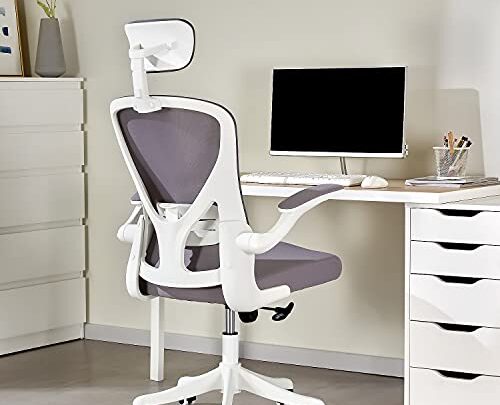 Dedeo Ergonomic Office Chair, Home Office Computer Chair, High Back Mesh Desk Chair with Adjustable Lumbar Support and Headrest, Tilt…