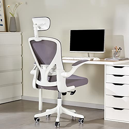 Dedeo Ergonomic Office Chair, Home Office Computer Chair, High Back Mesh Desk Chair with Adjustable Lumbar Support and Headrest, Tilt…