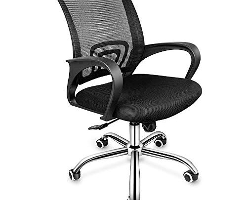 YSSOA Task Ergonomic Mesh Computer Wheels and Arms and Lumbar Support Study Chair for Students Teens Men Women for Dorm…