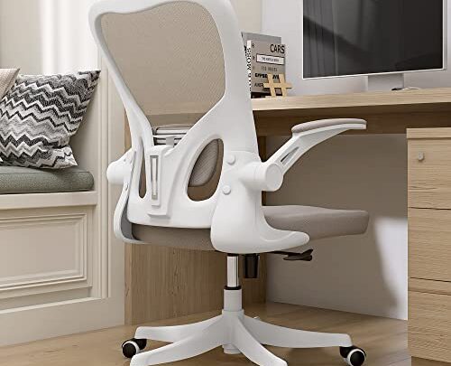 Monhey Office Chair – Ergonomic Office Chair with Lumbar Support & Flip-up Arms Home Office Desk Chairs Height Adjustable High…