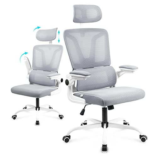 Soontrans Grey Ergonomic Office Chair with Adjustable Arms, Mesh Office Chair with Lumbar Support, 2D Headrest Office Desk Chair, Rocking…