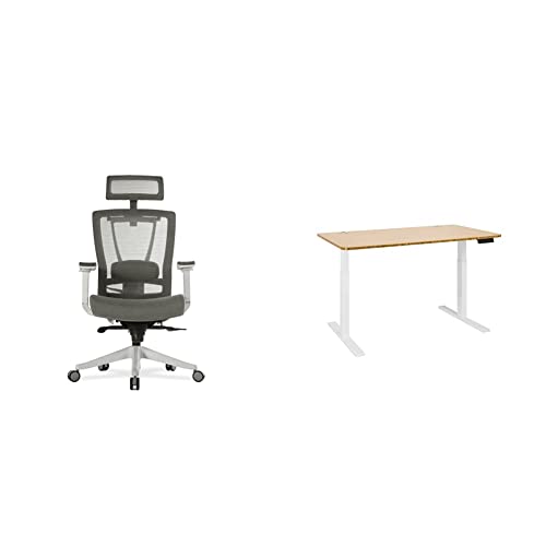 Autonomous Premium Ergonomic Office Chair, Mesh Back, Medium, Grey & Edition Smart Hybrid Dual Motor Electric Standing Desk Frame Classic…