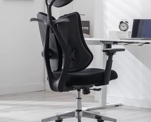 BV Dual Backrests Ergonomic Office Chair, Lumbar Support Office Desk Chair Back Support, Breathable mesh Office Chair 3D Adjustable Armrest