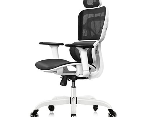 FelixKing Office Chair, Ergonomic Desk Chair with 3D Adjustable Headrest and Armrests Lumbar Support and Silver Wheels Reclining High Back…