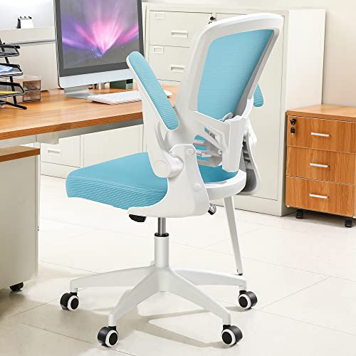 FelixKing Office Chair, Ergonomic Desk Chair with Adjustable Height and Lumbar Support Swivel Lumbar Support Computer Chair with Flip up…