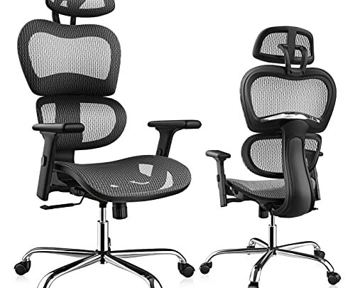 Ergonomic Office Chair, High Back Home Office Desk Chairs with Adjustable Headrest/Armrests, Mesh Computer Chair with Lumbar Support and Tilt…