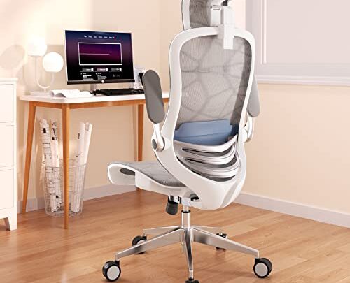 ERGOUP Ergonomic Office Chair Computer Desk Chiar Mesh High Back Desk Chair, Mesh Computer Chair with Adjustable Lumbar Support, Rocking…