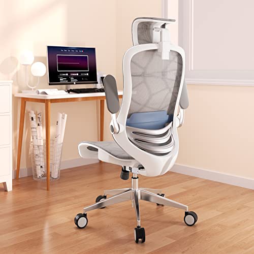 ERGOUP Ergonomic Office Chair Computer Desk Chiar Mesh High Back Desk Chair, Mesh Computer Chair with Adjustable Lumbar Support, Rocking…