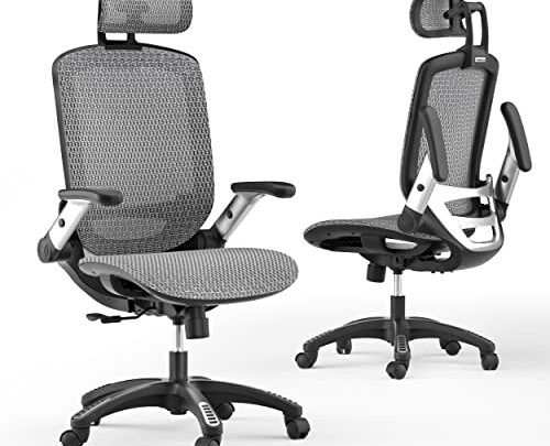GABRYLLY Ergonomic Office Chair, High Back Mesh Home Desk Chair with Lumbar Support and Flip-up Arms, Adjustable Headrest & Comfortable…