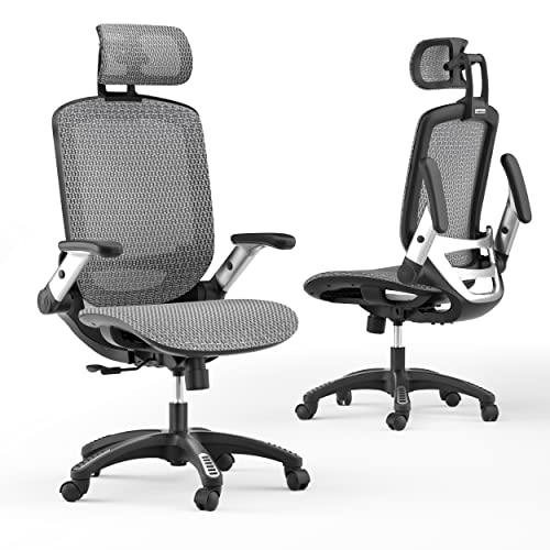 GABRYLLY Ergonomic Office Chair, High Back Mesh Home Desk Chair with Lumbar Support and Flip-up Arms, Adjustable Headrest & Comfortable…