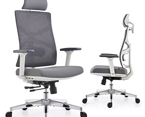 HOLLUDLE Ergonomic Office Chair with Adaptive Backrest, High Back Computer Desk Chair with 4D Armrests, Adjustable Seat Depth, Lumbar Support…
