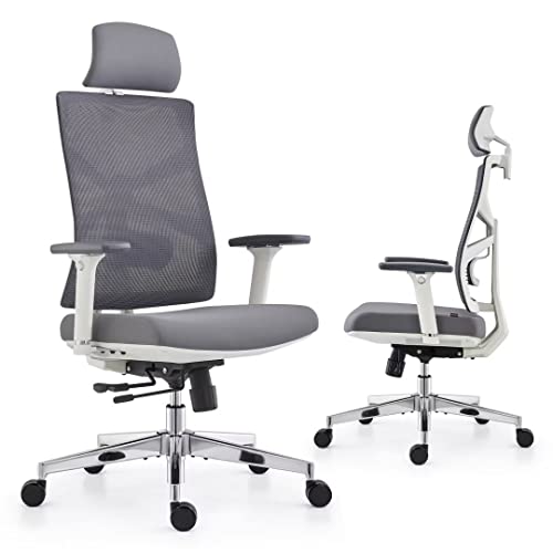 HOLLUDLE Ergonomic Office Chair with Adaptive Backrest, High Back Computer Desk Chair with 4D Armrests, Adjustable Seat Depth, Lumbar Support…