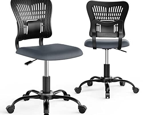 PALONE Home Office Chair Ergonomic Desk Chair Mesh Computer Adjustable Height Seat 360° Swivel Gaming Armless Chair Task with 5…