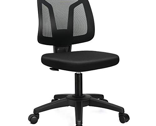 VigorPow Armless Mesh Office Chair Ergonomic Swivel Black Small Computer Desk Chair No Arms with Lumbar Support Height Adjustable Task…