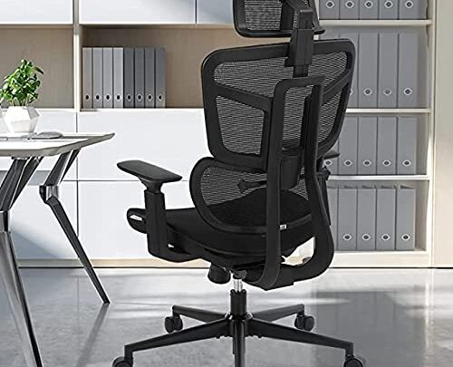 Ergonomic Office Chairs, Mesh Desk Chair with 3D Headrest, 5-Year Warranty Executive Chair with 2D Armrest, High Back Computer Chair,…