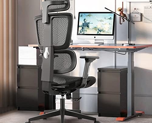 Primy Gaming Chair Ergonomic Office Chair, High Back Breathable Mesh Desk Chair with Adjustable Lumbar Support, Ergonomic Computer Chair Adjustable…
