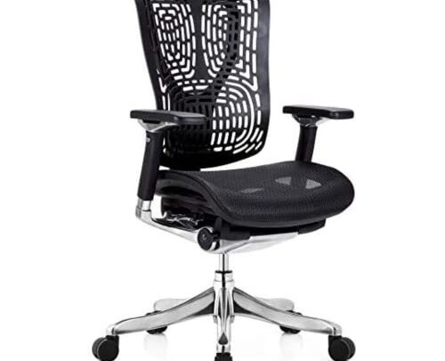 GM Seating Ergobilt High-Back Ergonomic Office Chair – Large Mesh Chair with Lumbar Support & Adjustable Armrest – Swivel Computer…