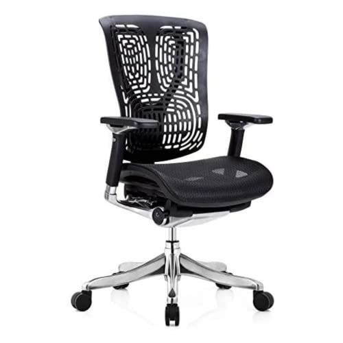 GM Seating Ergobilt High-Back Ergonomic Office Chair – Large Mesh Chair with Lumbar Support & Adjustable Armrest – Swivel Computer…