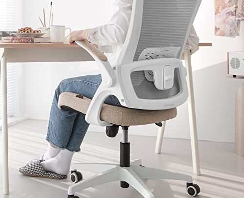 neo chair High Back Mesh Chair Adjustable Height and Ergonomic Design Home Office Computer Desk Chair Executive Lumbar Support Padded…