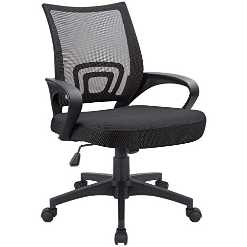 Devoko Office Chair Ergonomic Computer Desk Chair Mid Back Swivel Rolling Chair with Height Adjustable Lumbar Support Mesh Executive Chair…