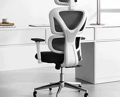 Sytas Ergonomic Home Office Chair, Desk Chair with Lumbar Support, Ergonomic Computer Chair High Back