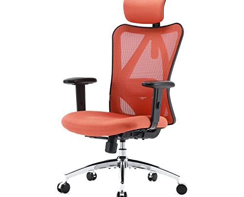 SIHOO M18 Ergonomic Office Chair for Big and Tall People Adjustable Headrest with 2D Armrest Lumbar Support and PU Wheels…