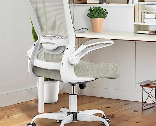 Mimoglad Office Chair, High Back Desk Chair with Adjustable Lumbar Support, Ergonomic Chair Mesh Computer Chair with Breathable and Comfortable…