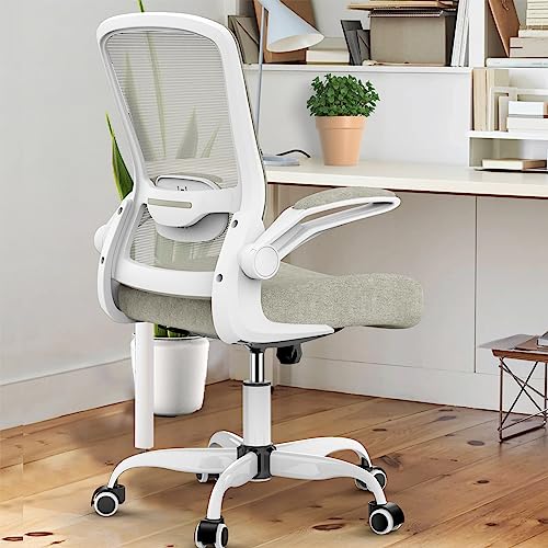 Mimoglad Office Chair, High Back Desk Chair with Adjustable Lumbar Support, Ergonomic Chair Mesh Computer Chair with Breathable and Comfortable…