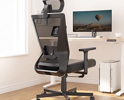 Dripex Ergonomic Office Chair, Home Office Desk Chair, High-Back Computer Chair with Lumbar Support, Adjustable Headrest & Armrest, 90°-135° Reclining…