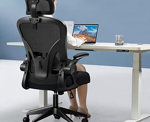 Darkecho Office Chair,Ergonomic Desk Chair with Adjustable Headrest and Lumbar Support,High Back Mesh Computer Chair with Padded Flip-up Armrests,Swivel Task…