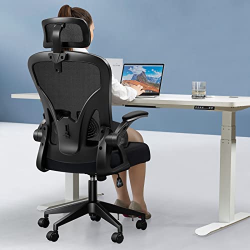 Darkecho Office Chair,Ergonomic Desk Chair with Adjustable Headrest and Lumbar Support,High Back Mesh Computer Chair with Padded Flip-up Armrests,Swivel Task…