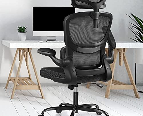 Razzor Ergonomic Office Chair, High Back Mesh Desk Chair with Lumbar Support and Adjustable Headrest, Computer Gaming Chair, Executive Swivel…