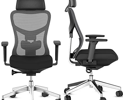 Skisea Ergonomic Office Chair, Home Office Desk Chairs with Adjustable Lumbar Support and Headrest, High Back Office Chair with 3D…