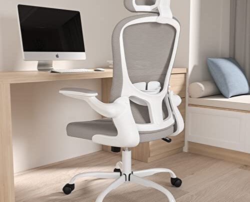 Office Chair, High Back Ergonomic Desk Chair, Breathable Mesh Desk Chair with Adjustable Lumbar Support and Headrest, Swivel Task Chair…