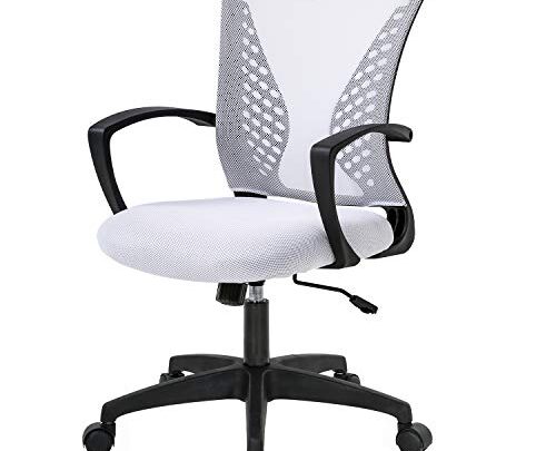 Home Office Chair Mid Back PC Swivel Lumbar Support Adjustable Desk Task Computer Ergonomic Comfortable Mesh Chair with Armrest (White)