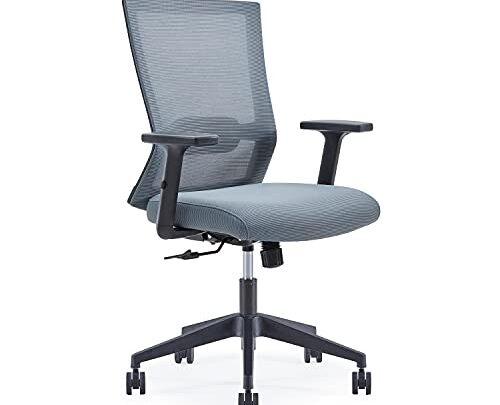 Farini Office Chair, Mid-Back Ergonomic Mesh Chair Executive Swivel Desk Chair with Lumbar Support Adjustable Height Arm (Grey)