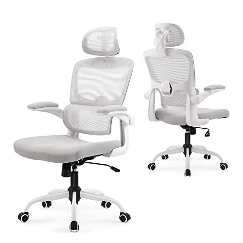 NeuType Office Desk Chair Ergonomic Home 0ffice Desk Chairs with Wheels Chairs for Desk with Lumbar Support High Back Mesh…