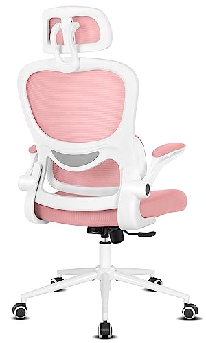 Misolant Ergonomic Office Chair, Desk Chair with Lumbar Support, Mesh Office Chair, Ergonomic Chair with Adjustable Headrest and Armrest, Recline…